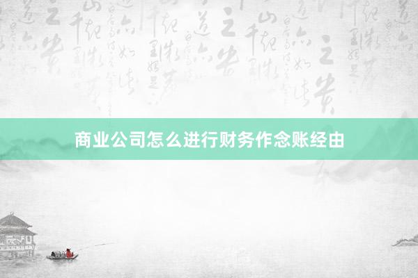 商业公司怎么进行财务作念账经由