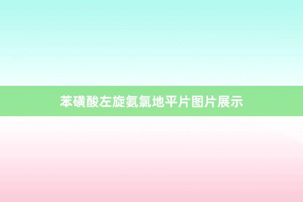 苯磺酸左旋氨氯地平片图片展示